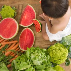 Wally the Watermelon Mordedor Bebé